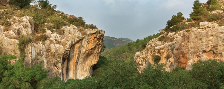 חמשוש אנ&quotא חיפה