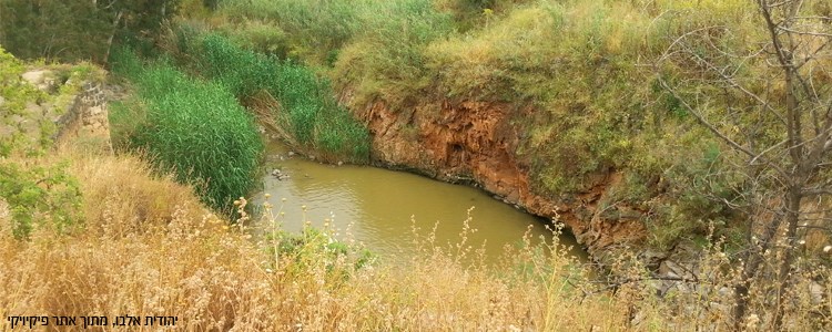 חמשוש אנ&quotא בית שאן