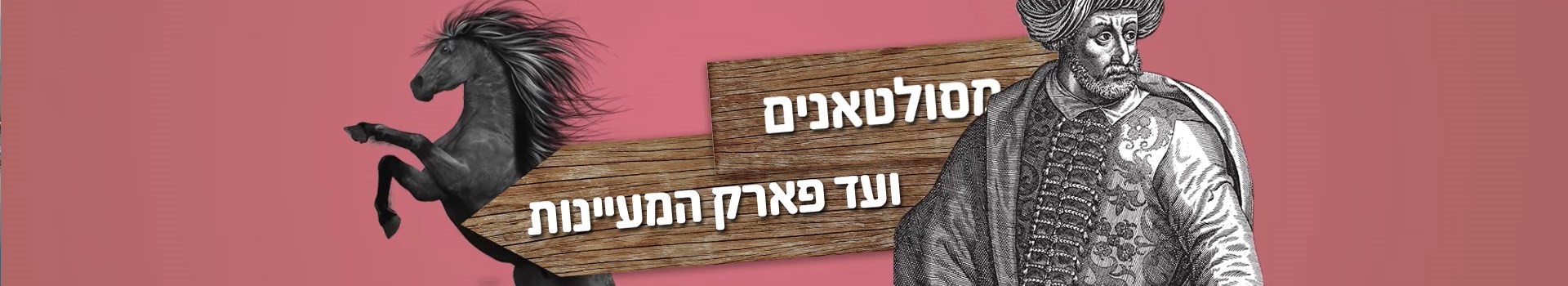 Your browser does not support the video tag.