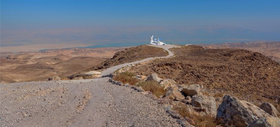 חמשוש אנ"א ערד - צמחי מרפא חמשוש אנ"א ערד - צמחי מרפא