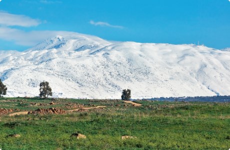 טיולים באזור הגליל עליון