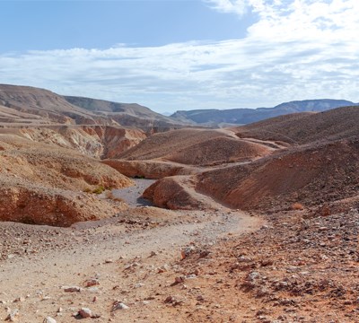 דרום