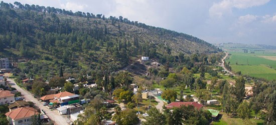 אנ"א מעיין חרוד