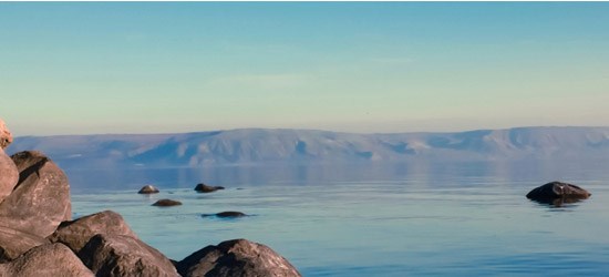 אנ"א כרי דשא