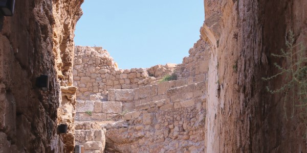 סיור יום סיור יום